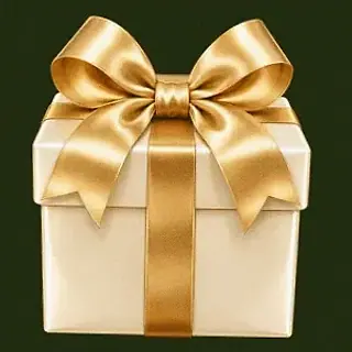 Ribbon gift box — Savaspin