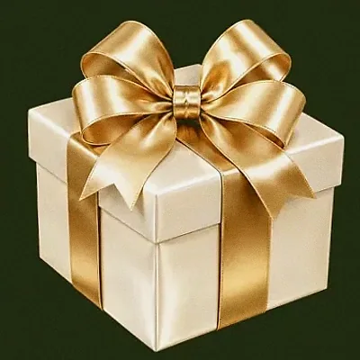 Ribboned gift box — Savaspin