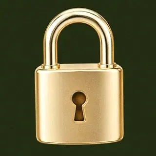 Metal padlock — Savaspin