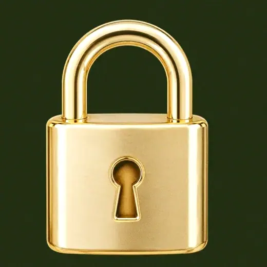 Metal padlock — Savaspin