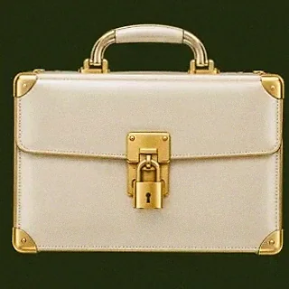 Locked leather briefcase — Savaspin