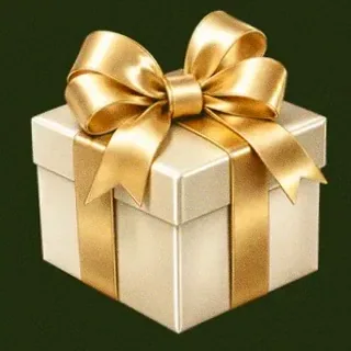 Luxury gift box — Savaspin