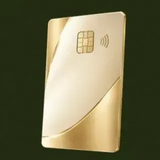 Contactless bank card — Savaspin