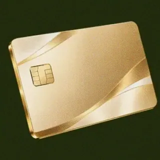Bank card — Savaspin